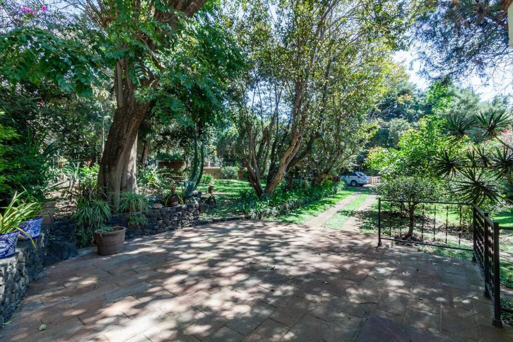 Casa En Tepoztlan Para Familias Y Amigos Villa Oacalco Exterior photo